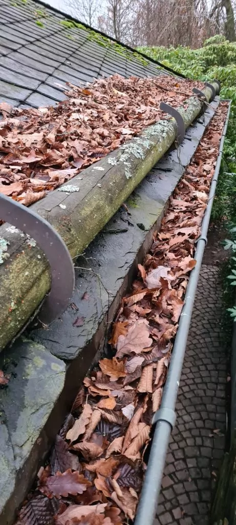 Dachrinne Reinigung