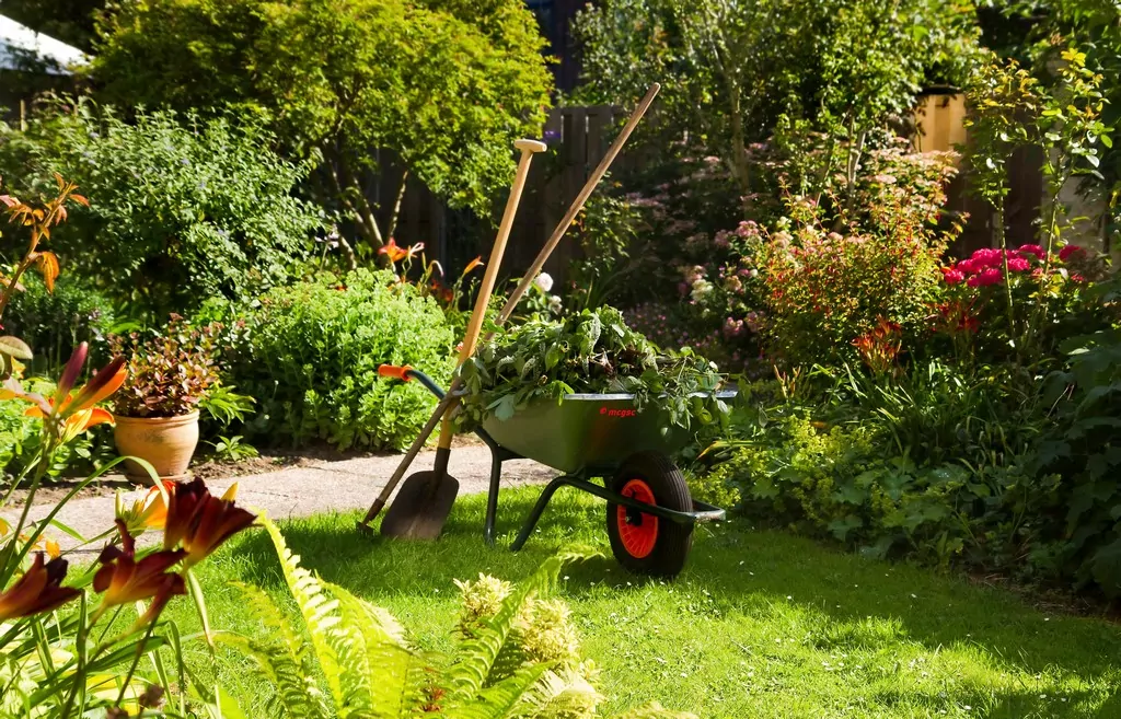 Gartenpflege und Grundstücksreinigung